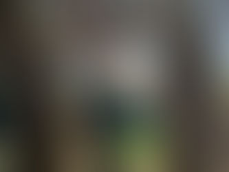 Photography Composition Elements and Rules PRACTICE