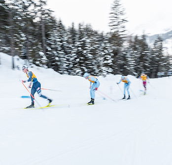 Langläufer im Wettkampf in Davos