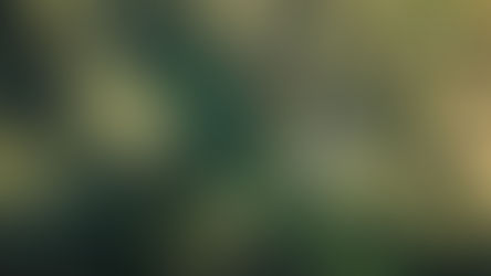 Informationen zur Anmeldung