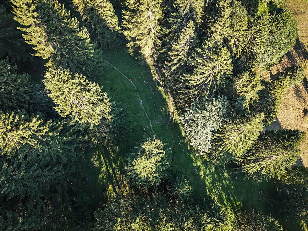 Informationen zur Anmeldung