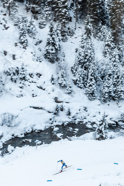 Langläufer im Winter