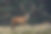 AdobeStock_230309906.jpeg