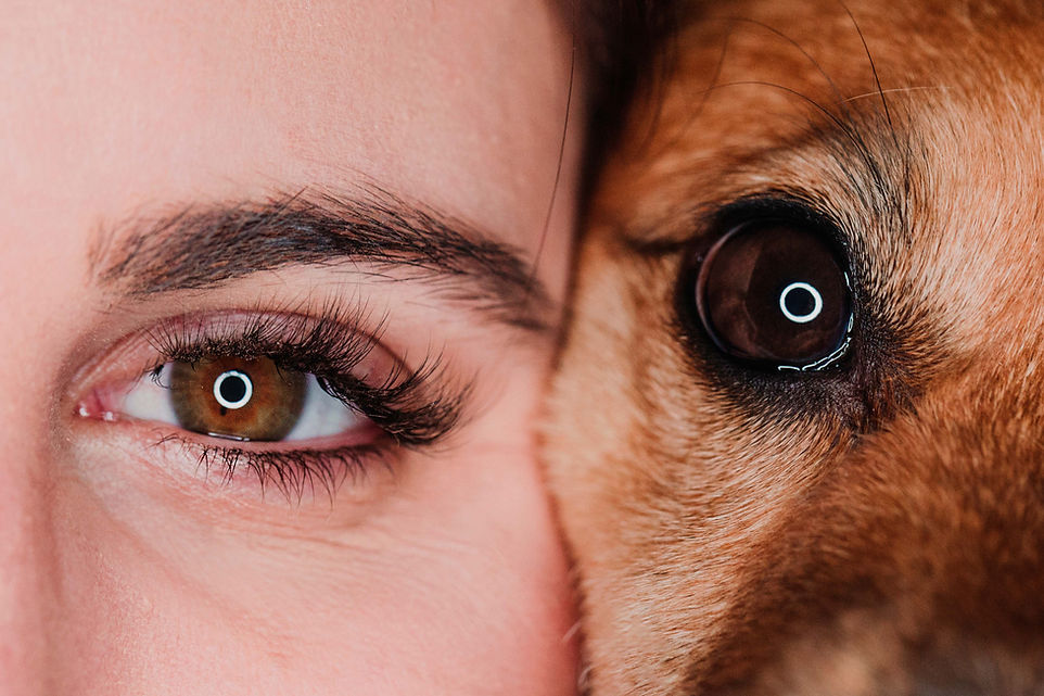 Frau und Hund nebeneinander