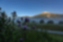 DSC_1090.jpeg