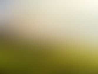 Weinfest Maienfeld 2026 – Drei Tage voller Genuss