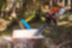 Stihl Motorsäge und Spalthammer auf einem Baumstumpf im Wald