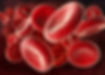 rote-blutkrp.jpg