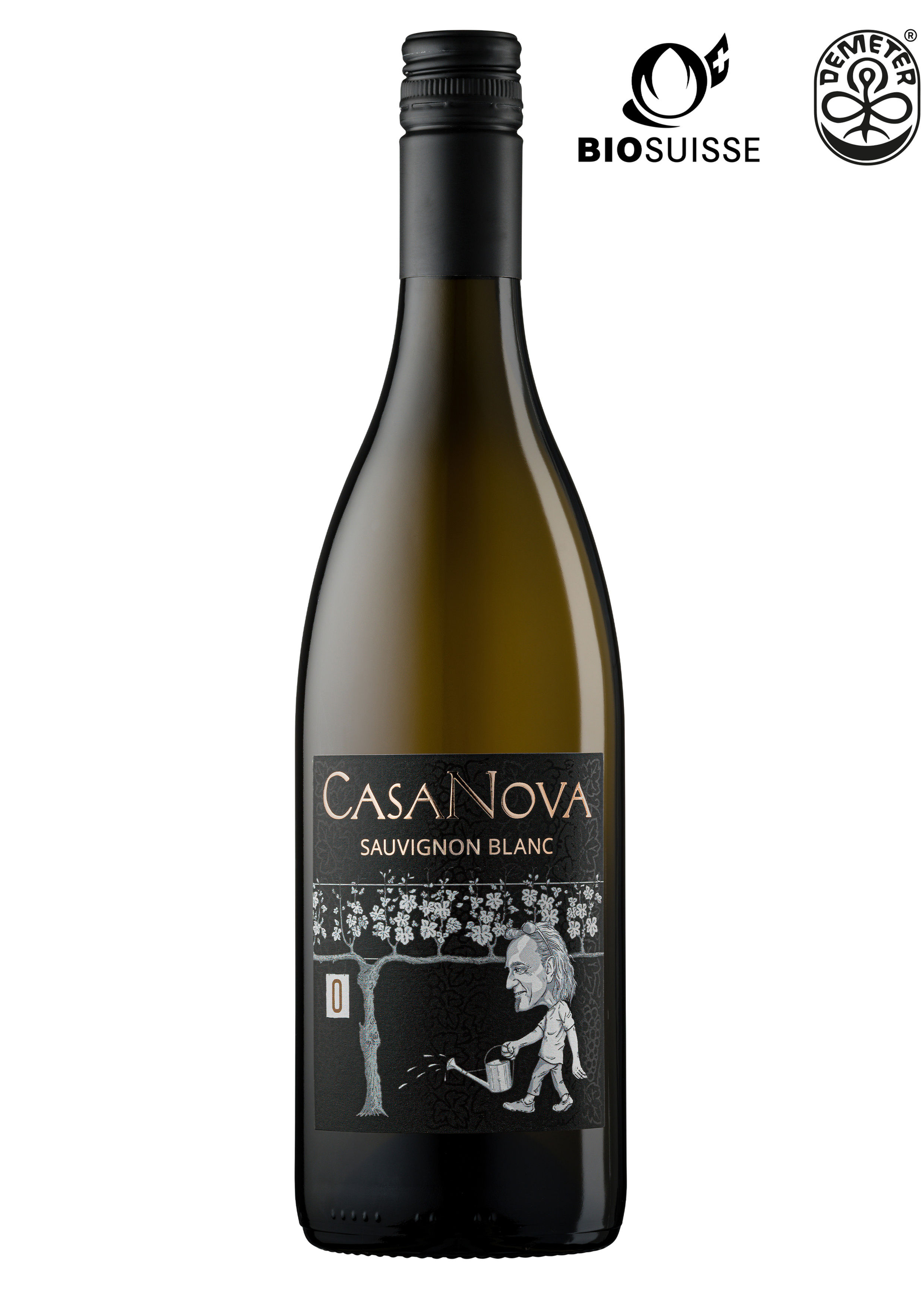 Sauvignon Blanc, 2023