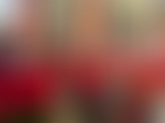 Las Económicas analizan su papel en el siglo XXI en el Congreso celebrado en Madrid