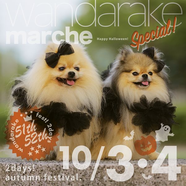 わんだらけマルシェのバナー（2026.10.03–04）