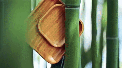 Thumbnail: Bamboo Appetizer Plates | Square Appetizer Plates | Our Variety Store