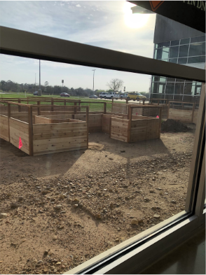 Beds are installed on campus