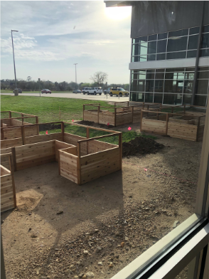 Beds are installed on campus