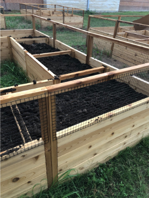 We have soil! April 2024