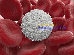 Immune system done- 1