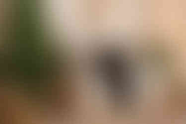 Des Moines, Iowa Family Photograph - neutral boho-inspired holiday set up including couch, tree, and wooden ornaments with mother and newborn baby present