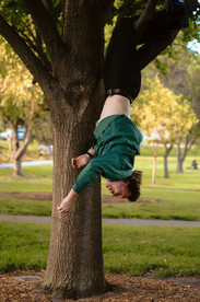 Norwalk and Des Moines, Iowa family photographer - adult male in a green shirt hangs upside down from a tree