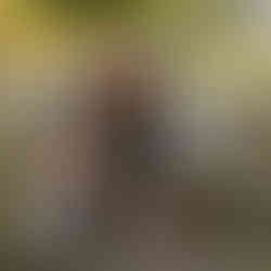 Des Moines, Iowa senior and family photography - two teen girls sit together at the Iowa Capitol grounds with their heads together.