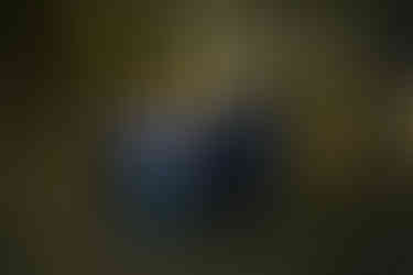 Des Moines, Iowa senior photography - family of four holds hands in a wooded forest setting and looks lovingly at the teenage boy.