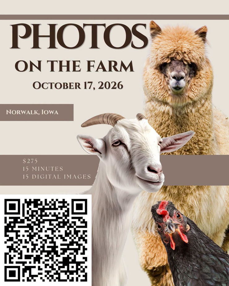 Des Moines, Iowa fall mini sessions - photos with farm animals including alpaca, goats, and chickens.
