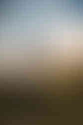 Des Moines, Iowa senior photography - teenage male stands on a large driftwood tree with his hands in his pockets.