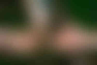 Des Moines, Iowa Family Photographer - Three brothers of various sizes hold out their hands to show off a rock they collected.