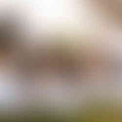 Des Moines, Iowa Family Photographer - sisters pose outdoors for a white sheet session with a lace curtain behind them.