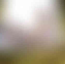 Des Moines, Iowa Family Photographer - sisters pose outdoors for a white sheet session with a lace curtain behind them.