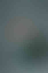 Des Moines and Norwalk, Iowa photography - adult woman with long hair is wearing an ankle-length green dress and a floral denim vest is standing with her hands on her hips in front of a green backdrop.