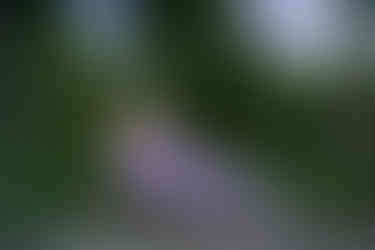 Des Moines and Norwalk, Iowa family photographer - pregnant blonde female wearing a light purple gown is posed sitting in the grass on front of tall grasses, trees, and the Des Moines River. She is looking at the camera, smiling, and holding her belly.