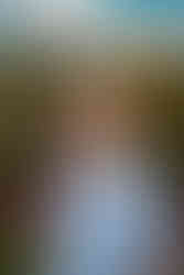 Des Moines and Norwalk, Iowa family photographer - pre-teen boy in a white polo smiles in a flower field.