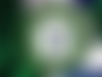 NBA, CIFCFIN Advocate For Forensic Measures To Eradicate Election Fraud in 2027