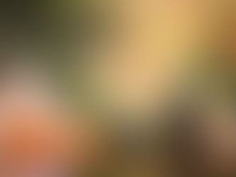 Lagos Hotels That Offer Spa and Wellness Retreats 