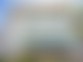 Lagos Oriental Hotel: Asian Elegance Meeting West African Service.