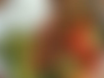 Vegan and Vegetarian Dining Options in Lagos