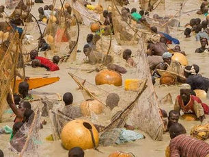 Argungu Festival Showcases Cultural Heritage Beyond Fishing