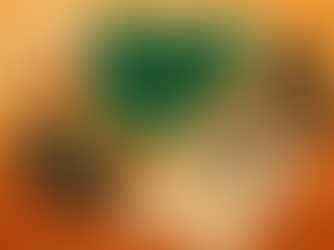 Nigeria’s 2025 Capital Budget Implementation Hits Major Roadblocks