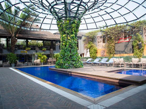 The Blowfish Hotel: Contemporary Design and Culinary Hotspots Under One Roof