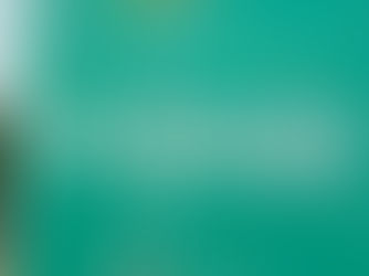 Federal Government Reopens Nigeria–Niger Border to Boost Regional Trade