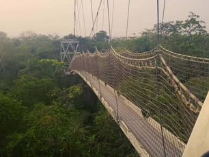 Lekki Conservation Centre: Nature’s Haven in the City