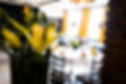 DSCF0347.jpg