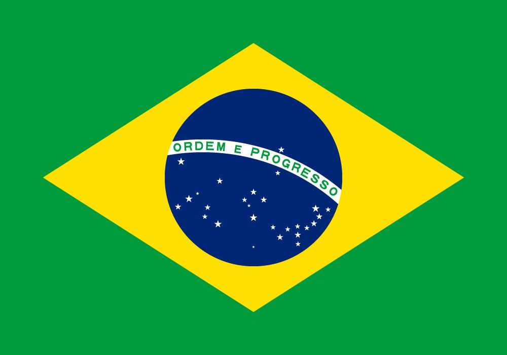 brazil-flag-png-large.png