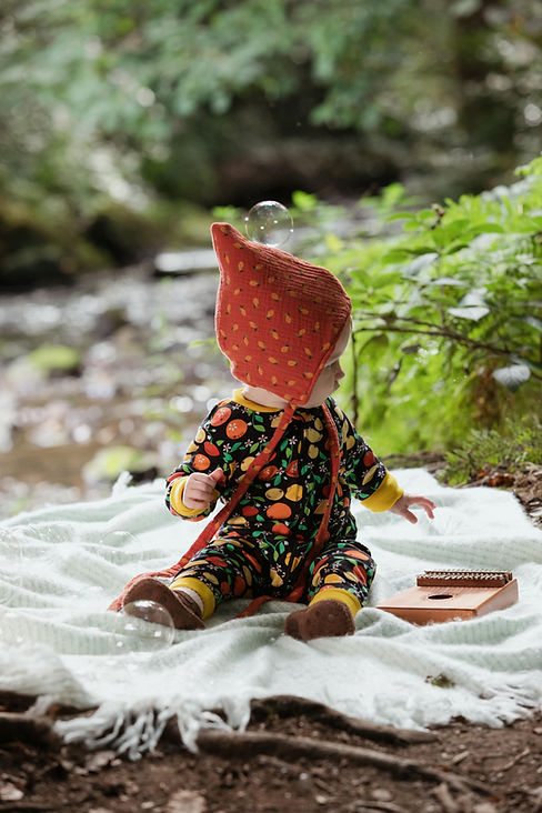 woodland gnome web.jpg