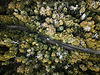 DJI_0061 (1).jpg