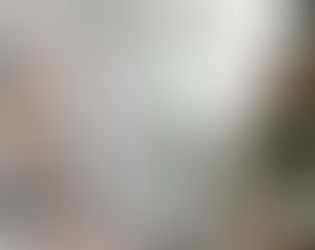 Christmas House Tour