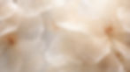 AdobeStock_671413914.jpeg