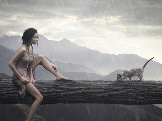 When giving up just seems easier…