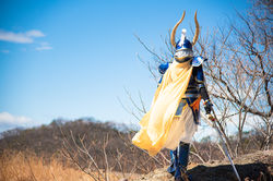 Warrior of Light