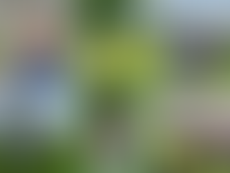 Escaping Work PRessures