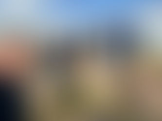 Emotional Intelligence